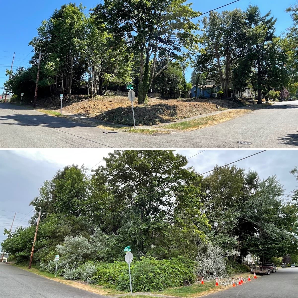 Nw tree care/services