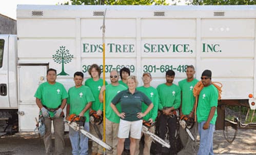 Ed's Tree Service