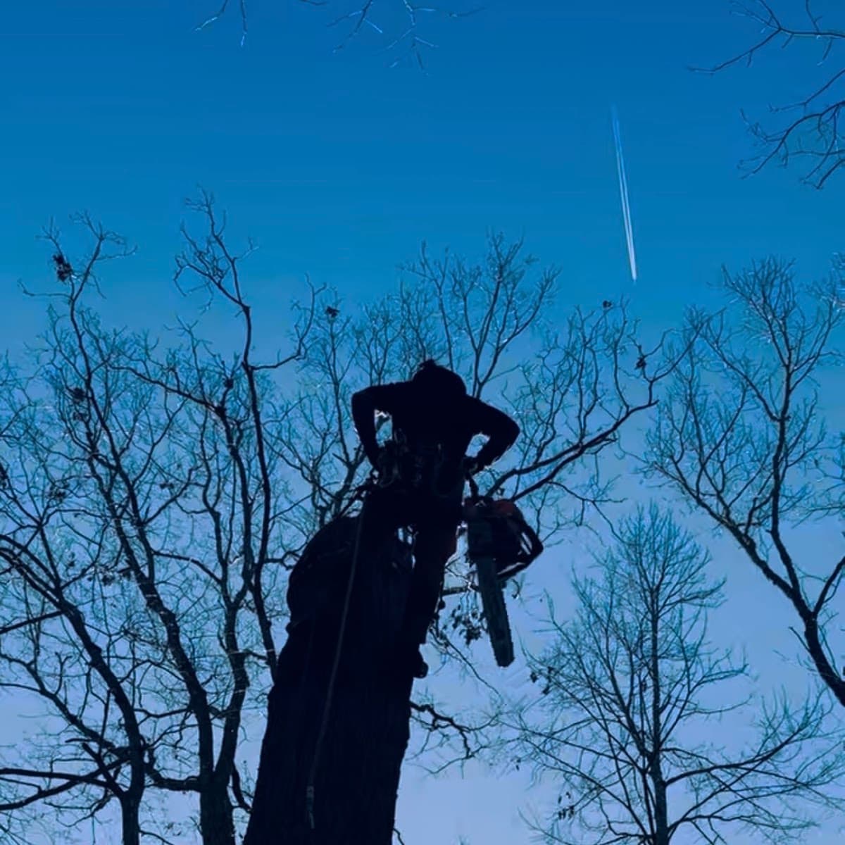 Sticks 'N Stones Tree and Grading