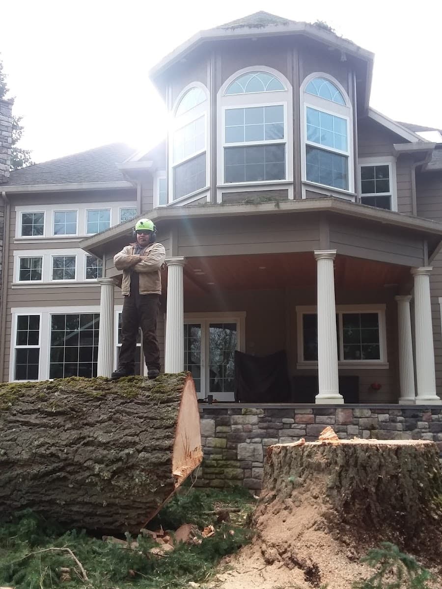 Arbor City Tree Care