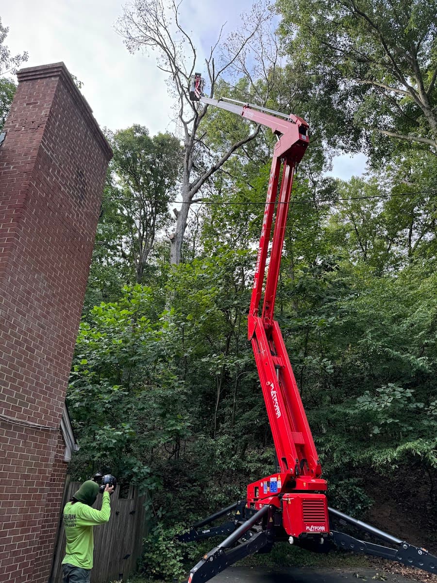Suburban Tree Experts