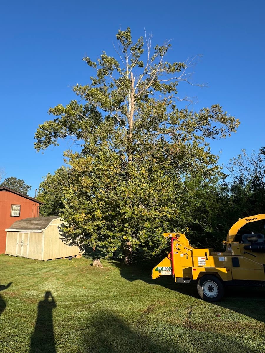 Gonzalez Tree Service