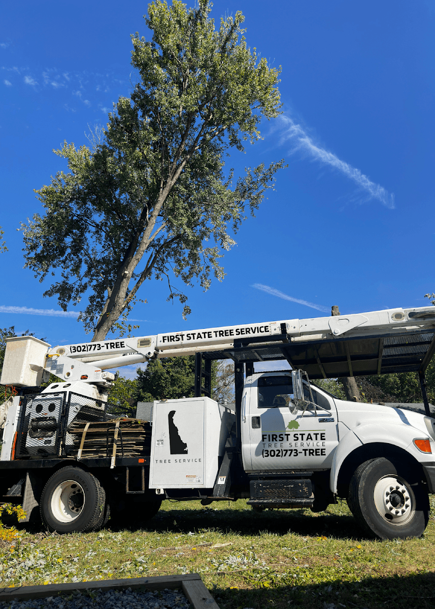 First State Tree Service, LLC