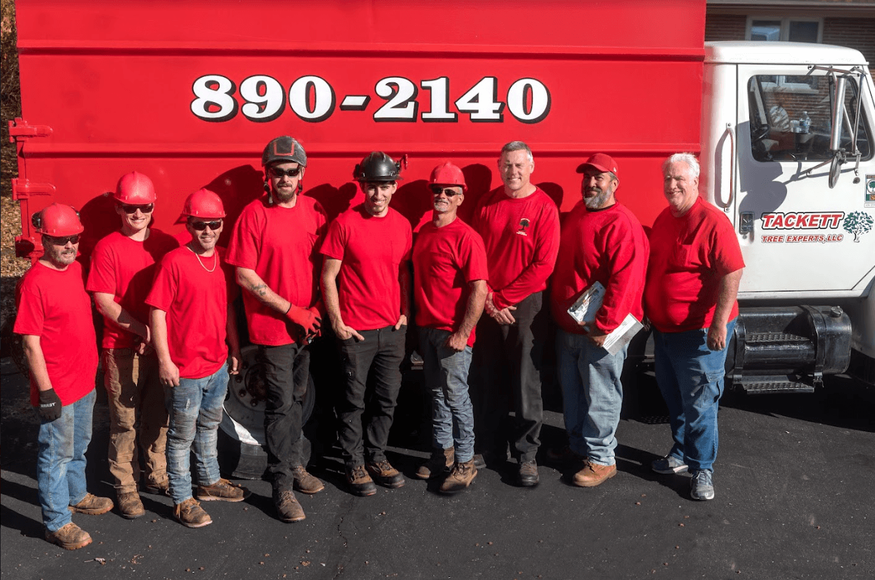 Tackett Tree Experts