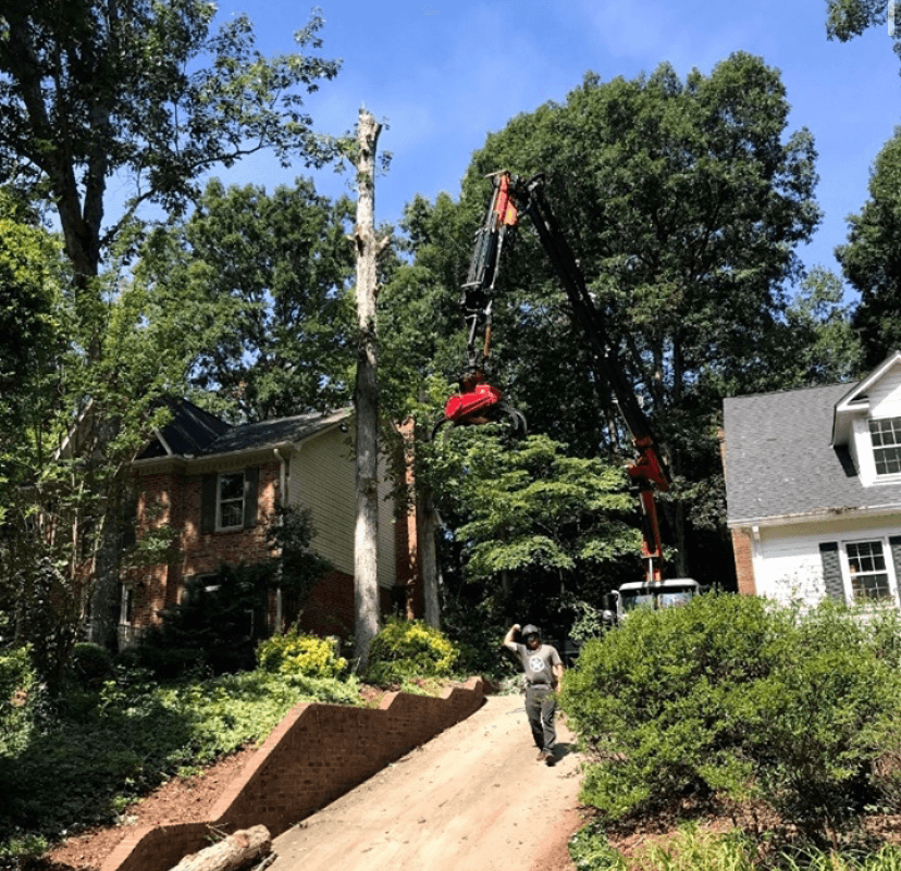 Arbor Care Solutions