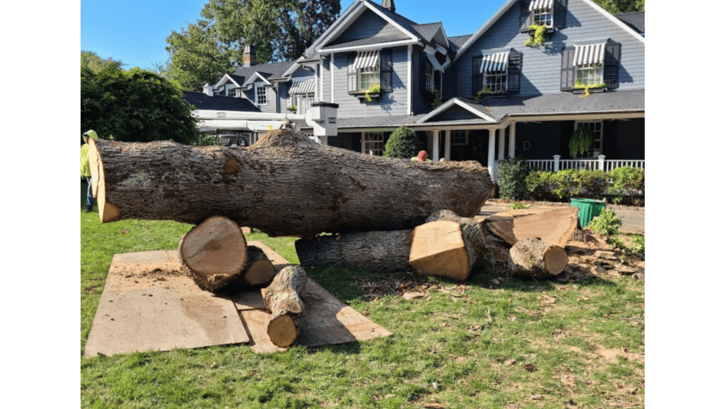 Cutting Edge Tree and Landscaping LLC