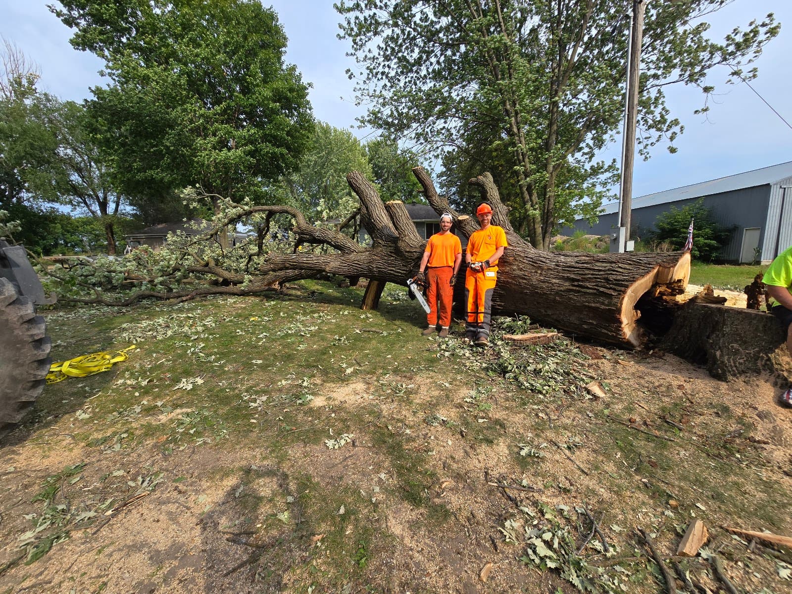 WoodchuX Tree Care LLC.