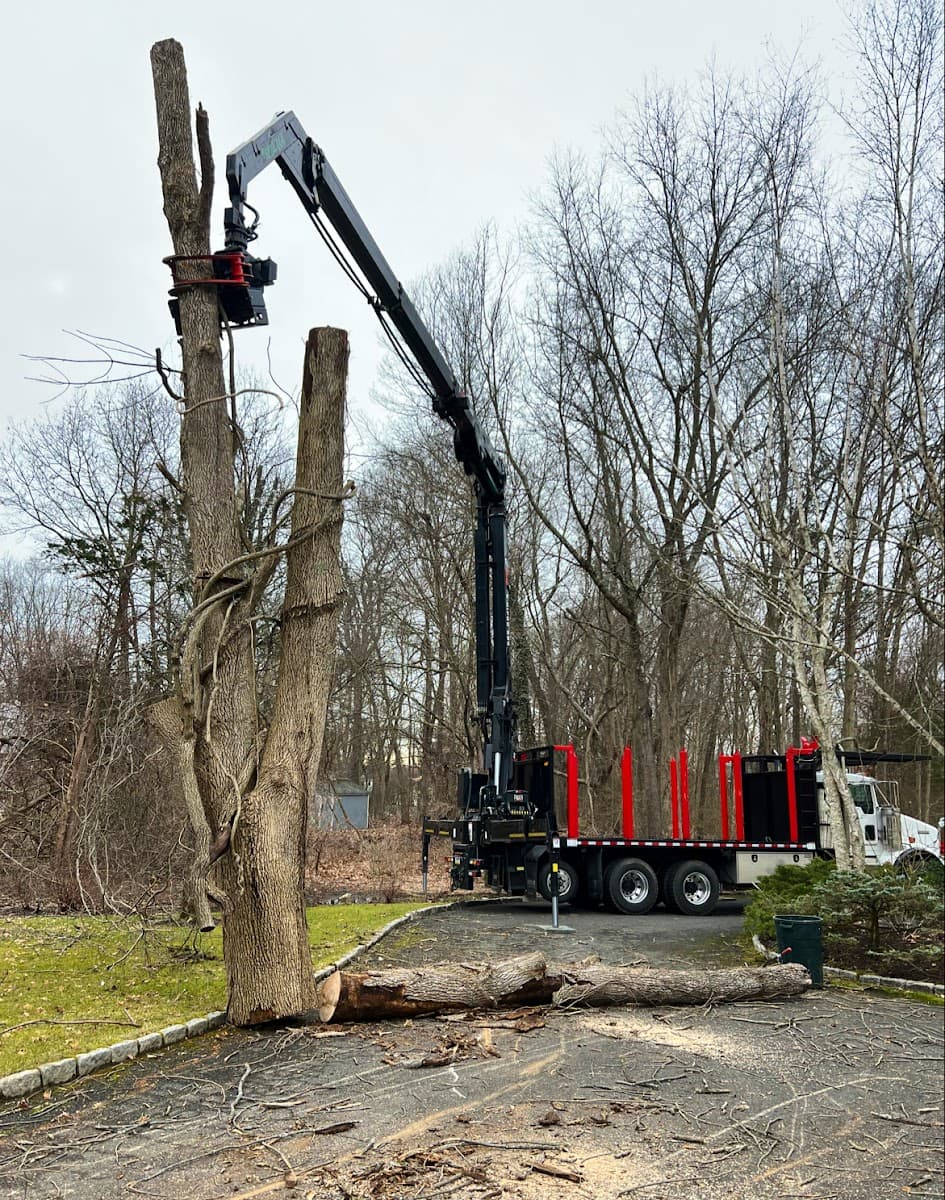 Christian Tree Service LLC