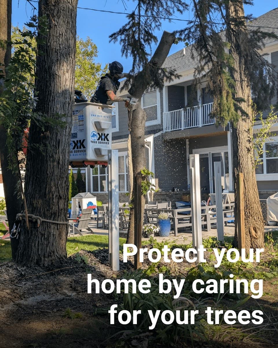 K N K Tree Service, LLC