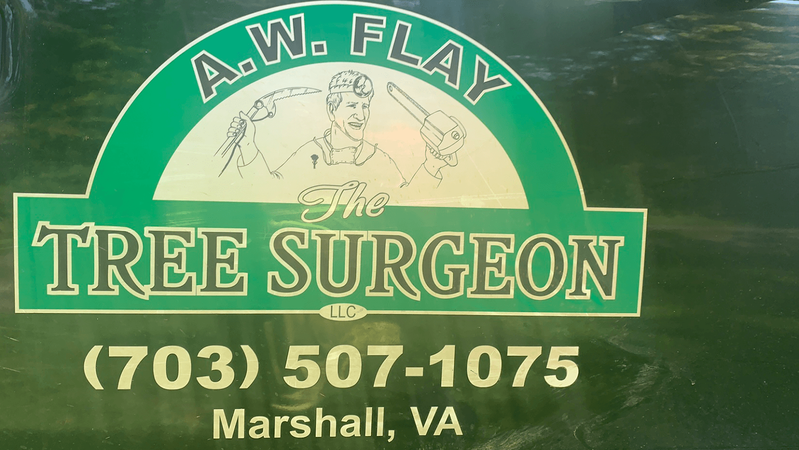 The Tree Surgeon LLC