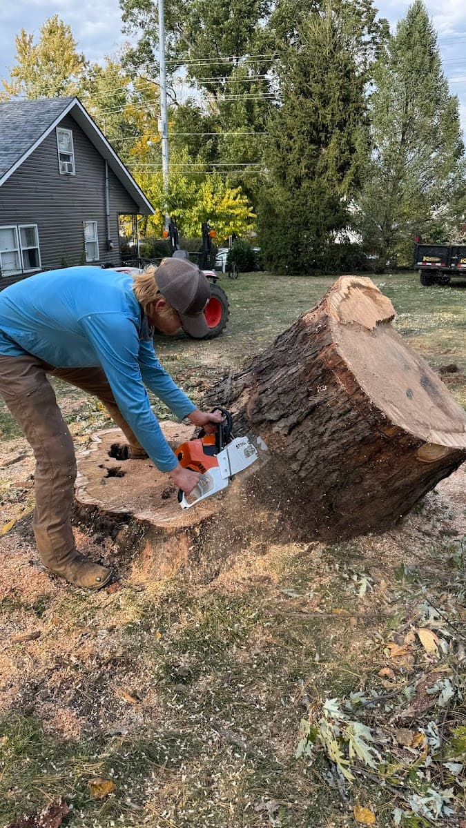 Masterscape and Tree