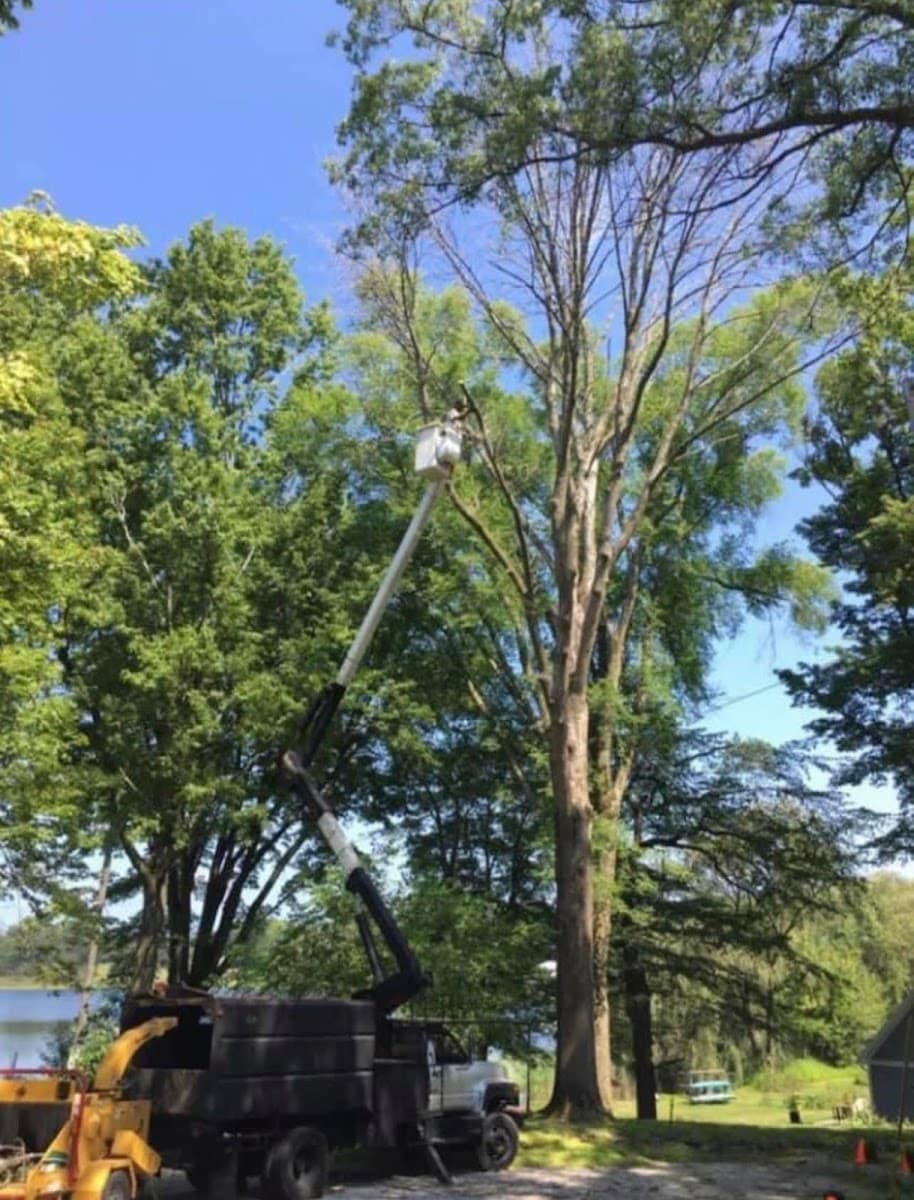 Mike's Tree Service