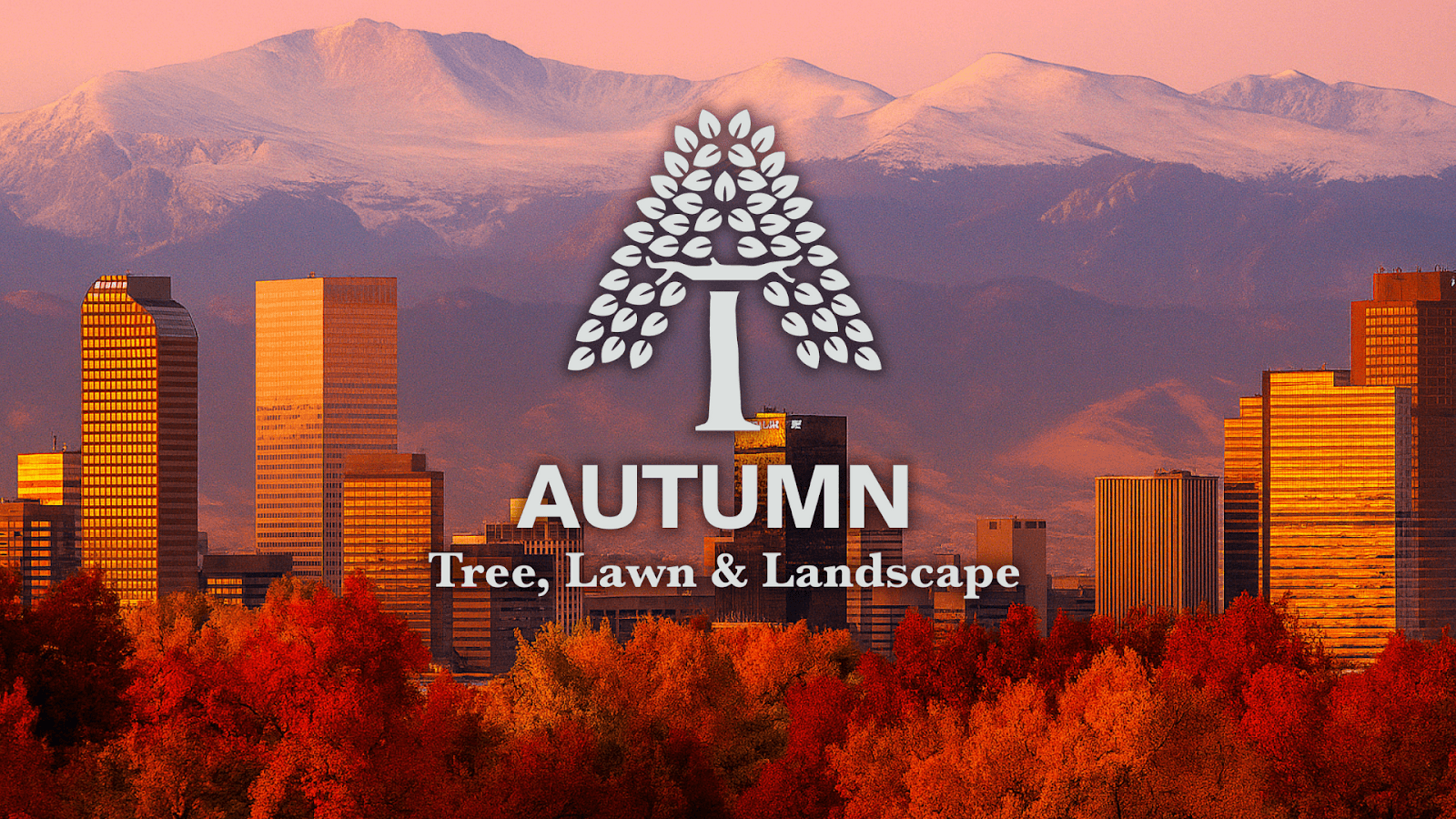 Autumn Tree, Lawn & Landscape