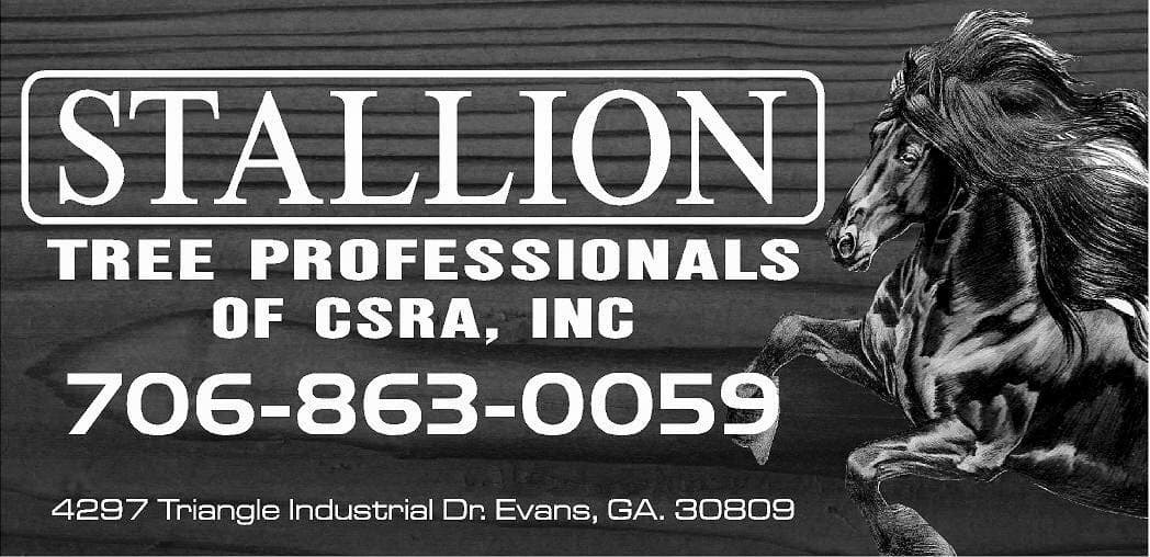 Stallion Tree Professionals