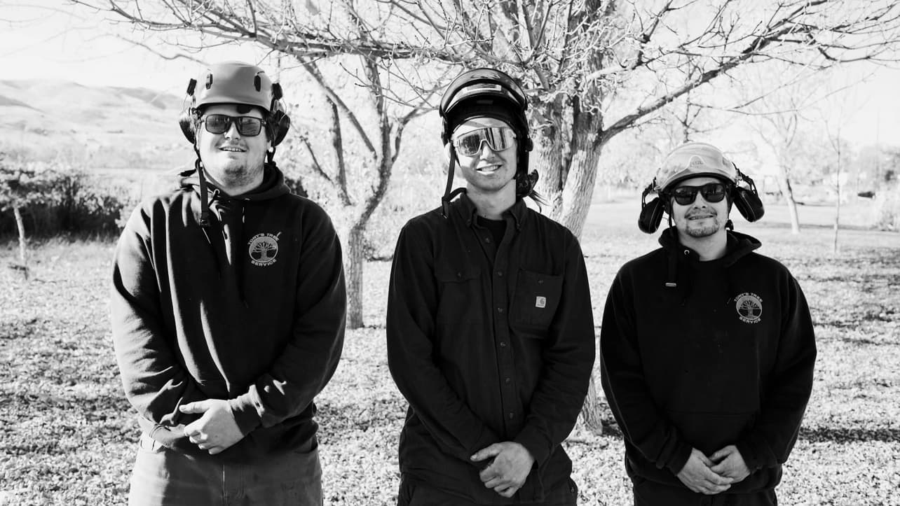 Tony's Tree Service