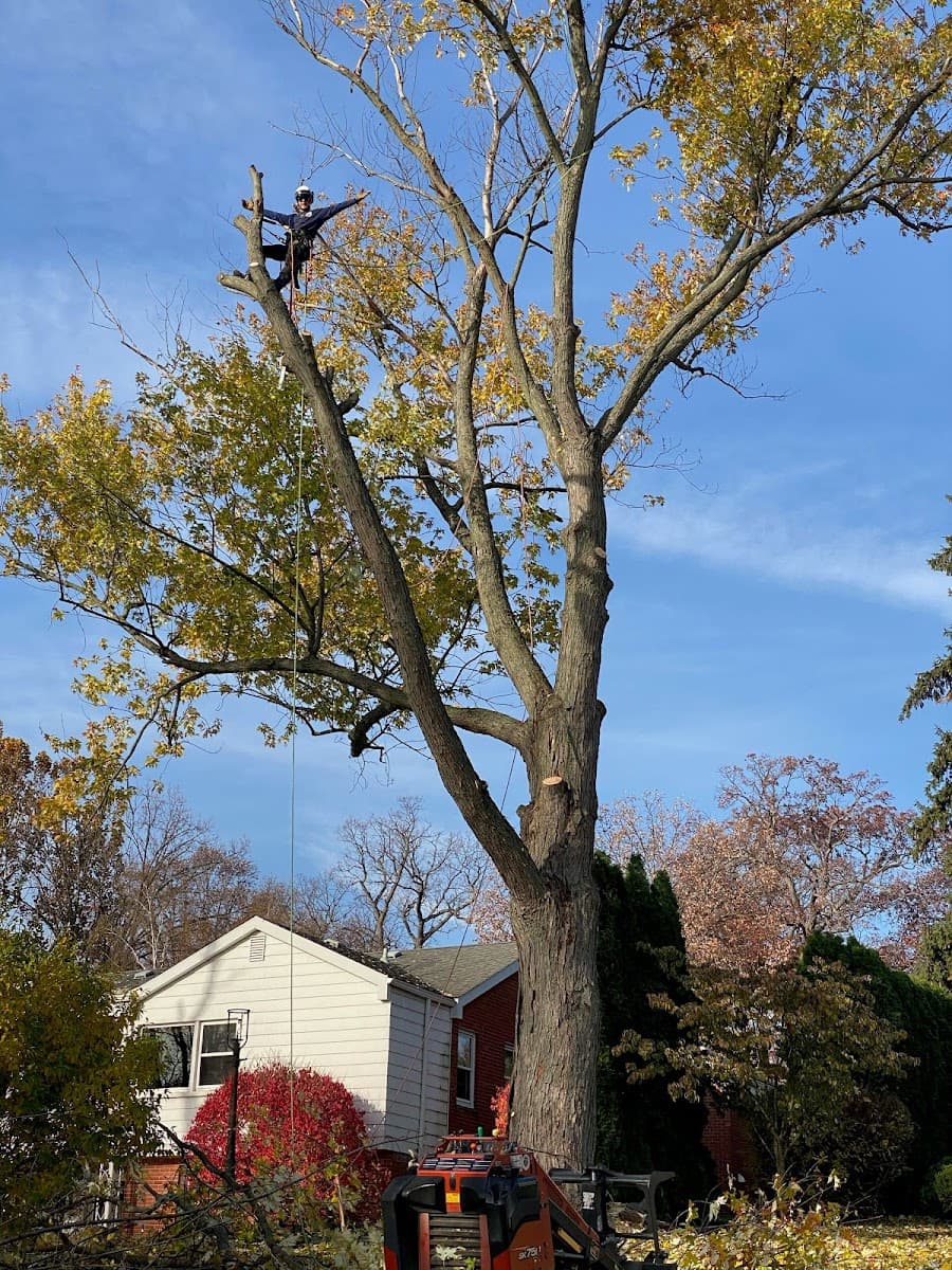 Lopez tree and Landscape Services