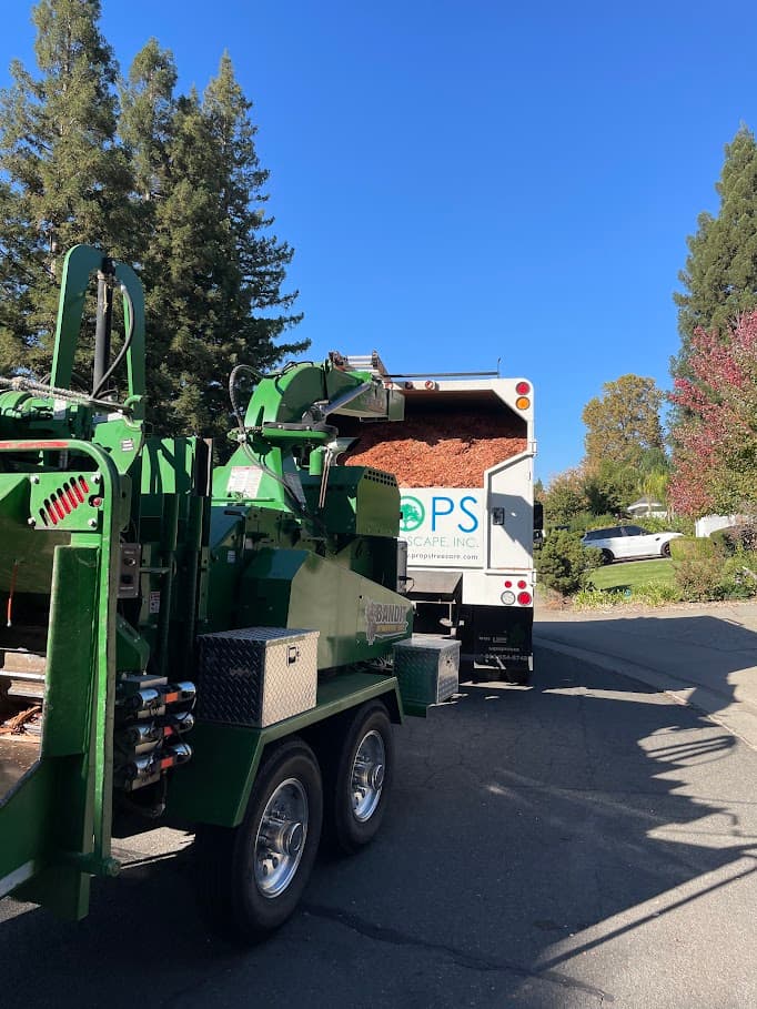 Props Tree & Landscape, Inc.