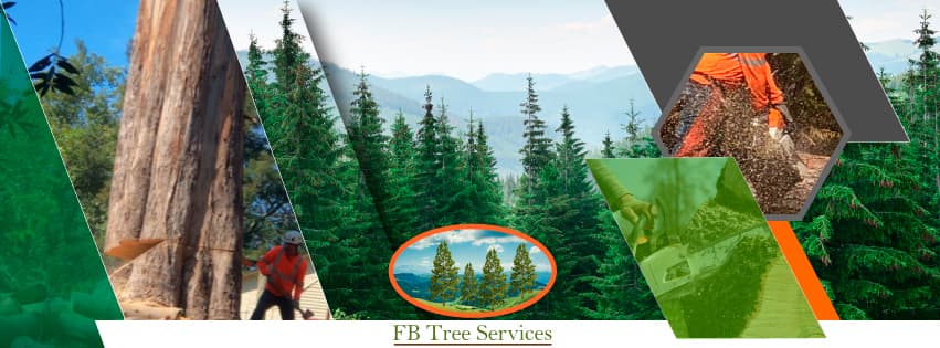 FB Tree Services inc