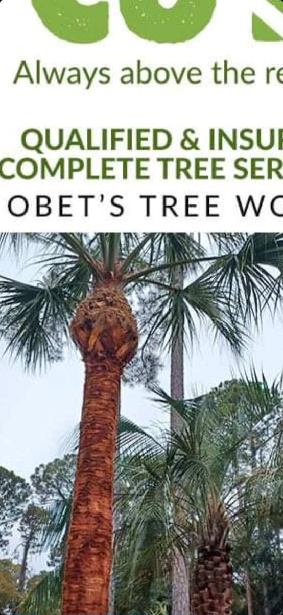 obet's tree work llc.