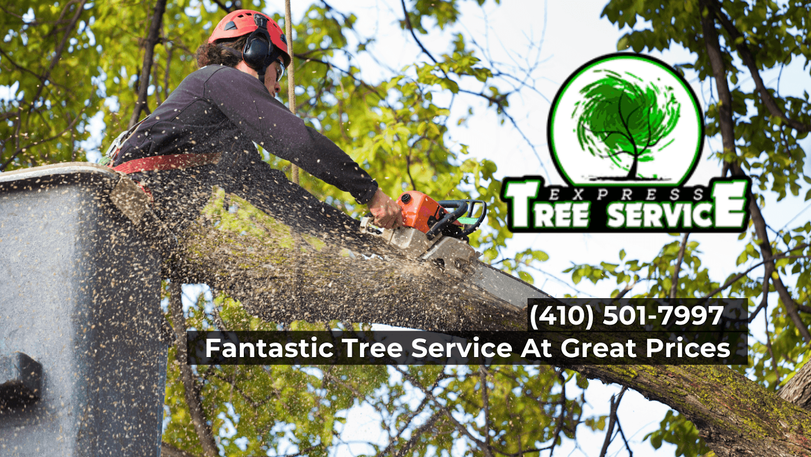 Express Tree Service LLC