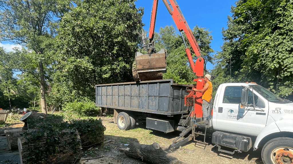 RS Tree & Landscaping Svc Inc