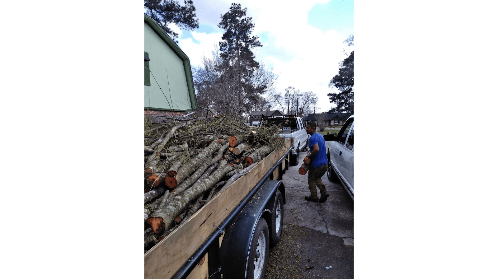Four Seasons Tree Service