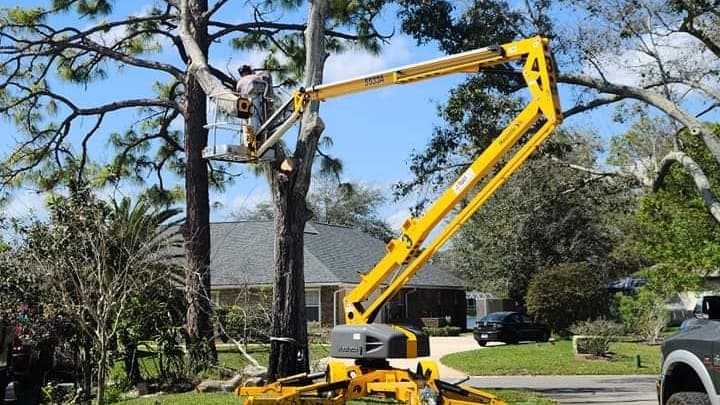 East Coast Arbor Pro inc.