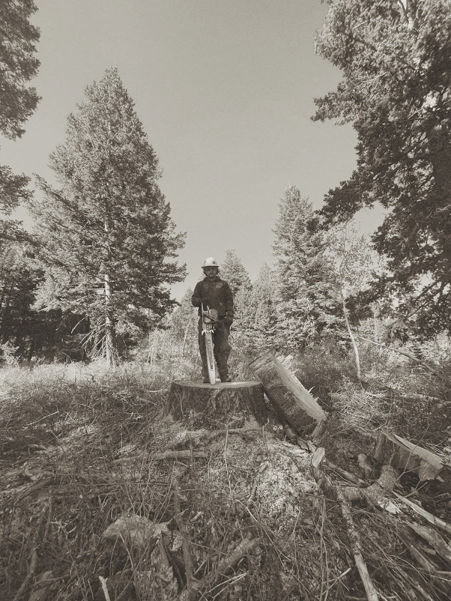 OL' BOI Tree Service