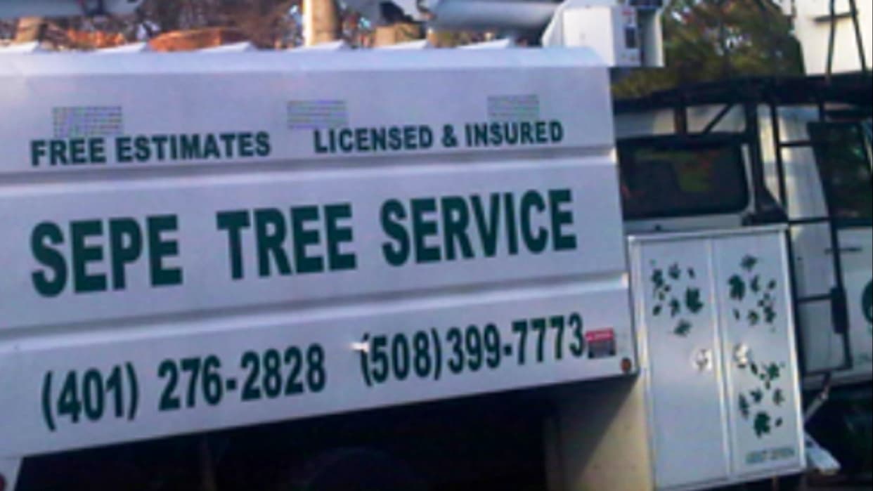 Sepe Tree Service