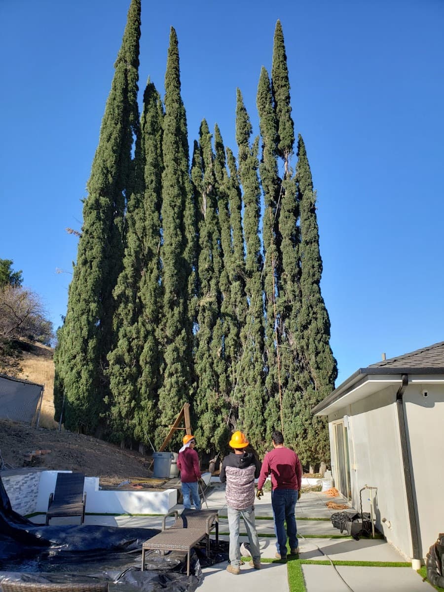 GRANADA TREE SERVICE