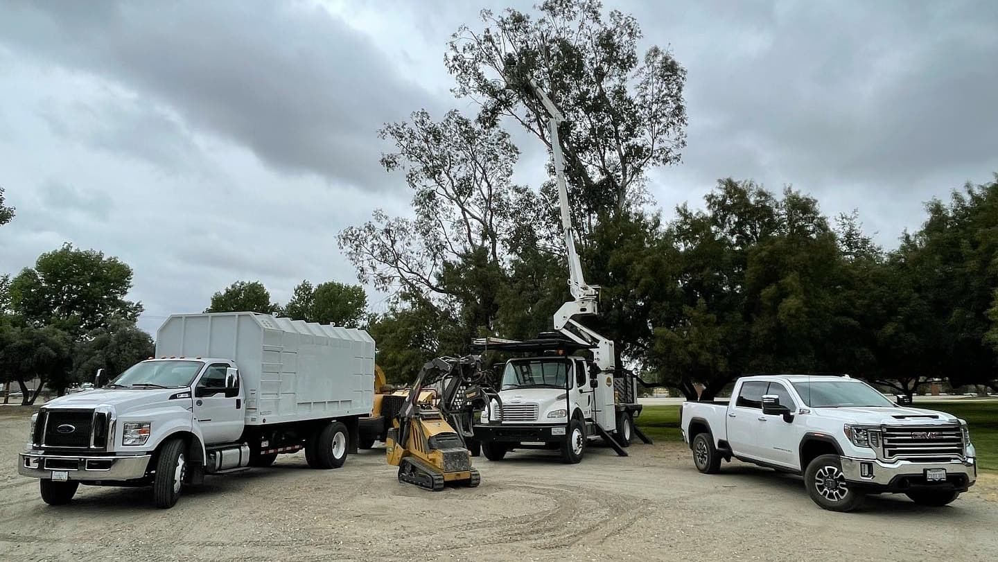 D.M.C. Tree Care, Inc.