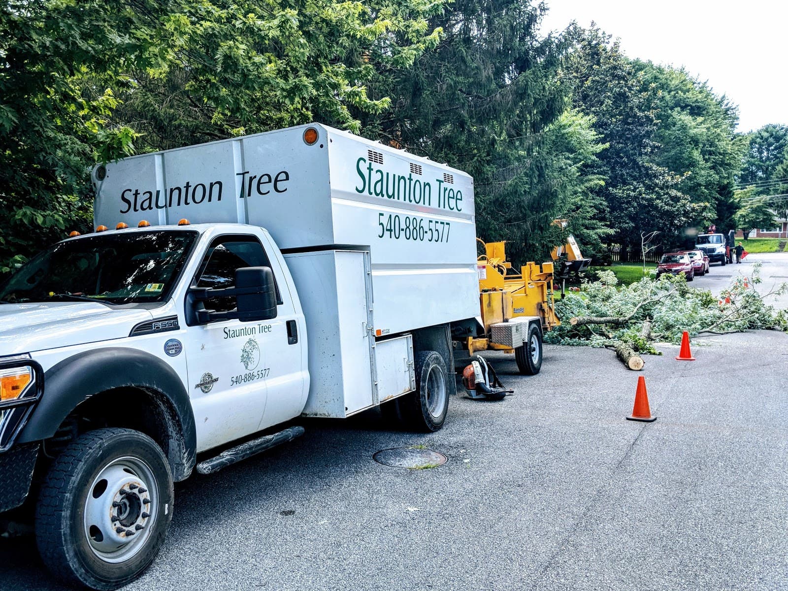 Staunton Tree Service