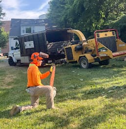 A. Gonzalez Tree Services