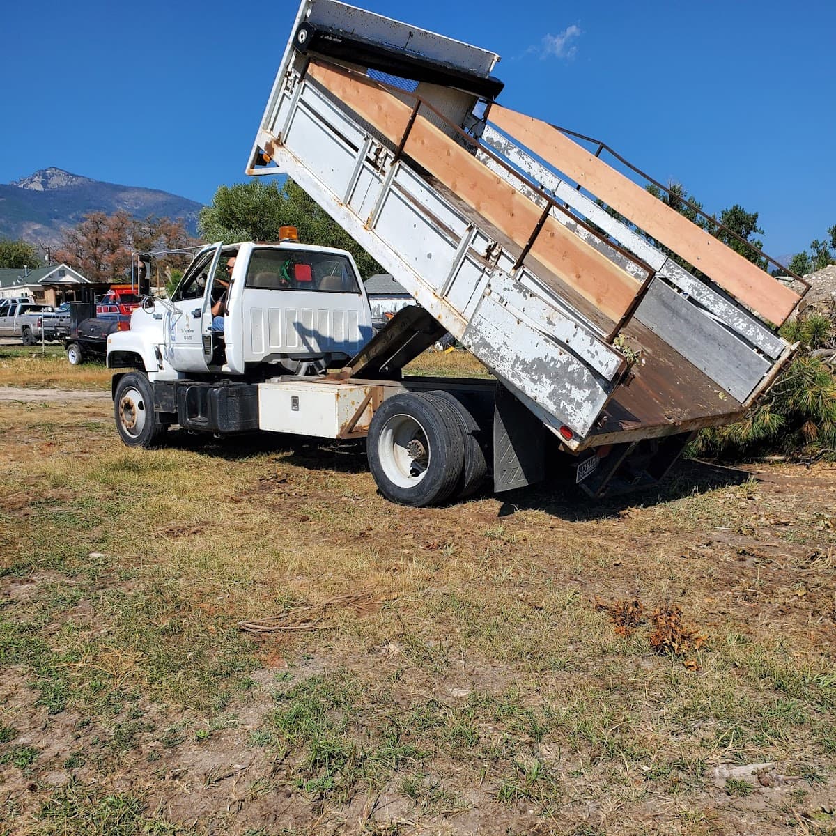 Tree Frog Tree Service, Inc