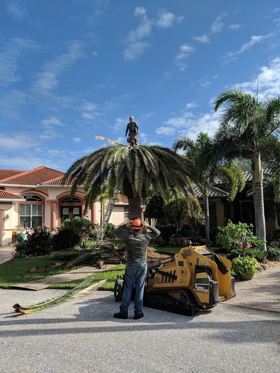 Coastal Mowing & Tree