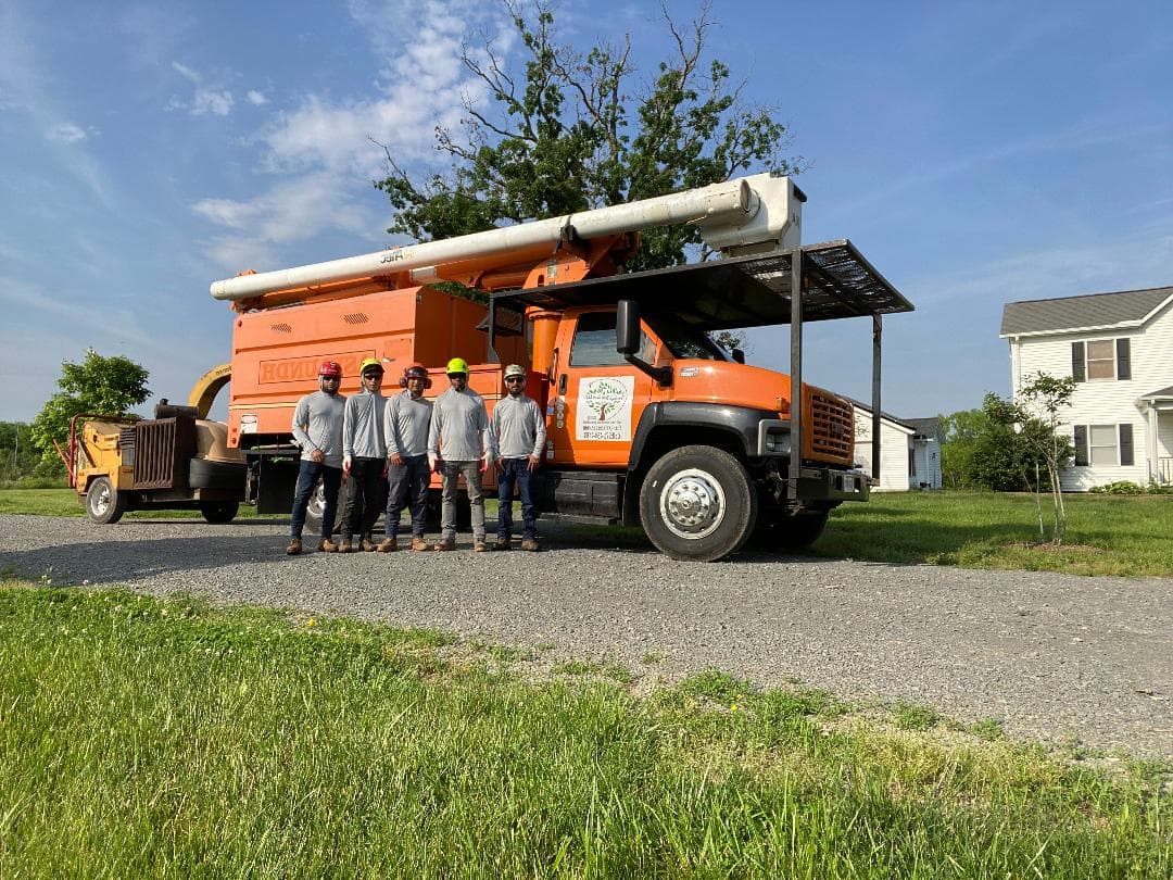 Franky's Tree Care LLC