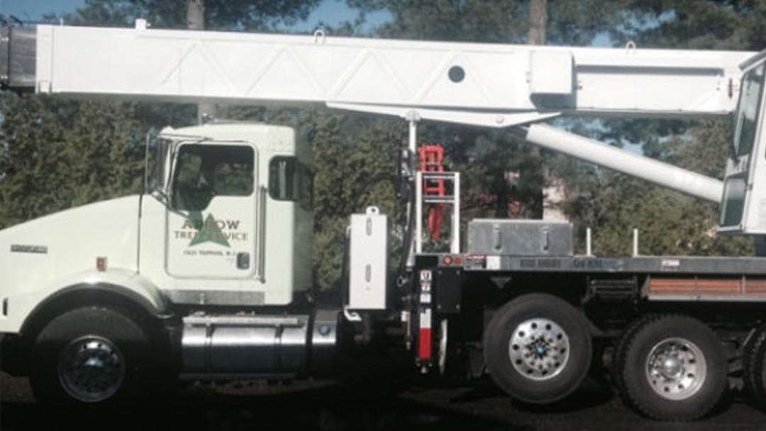 Arrow Tree Service