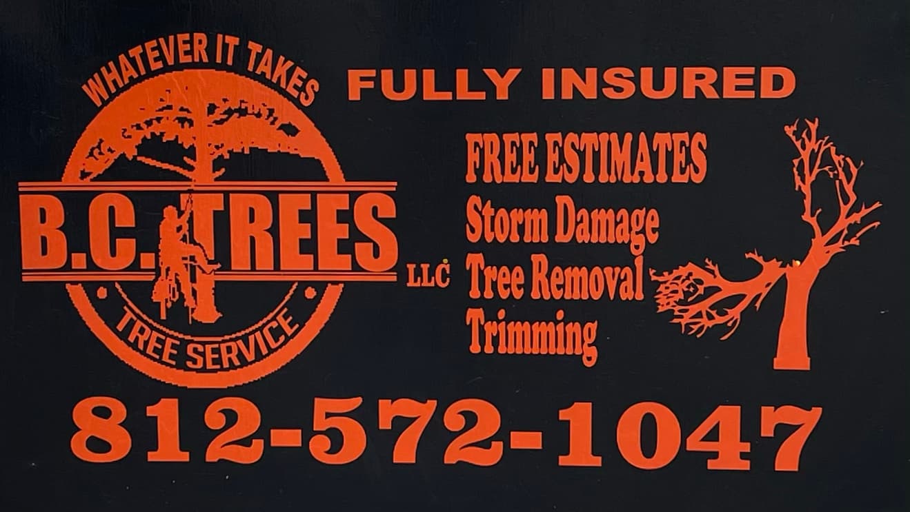 B.C. Trees LLC