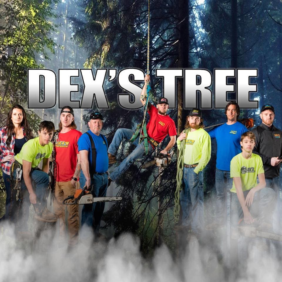Dex's Tree Service