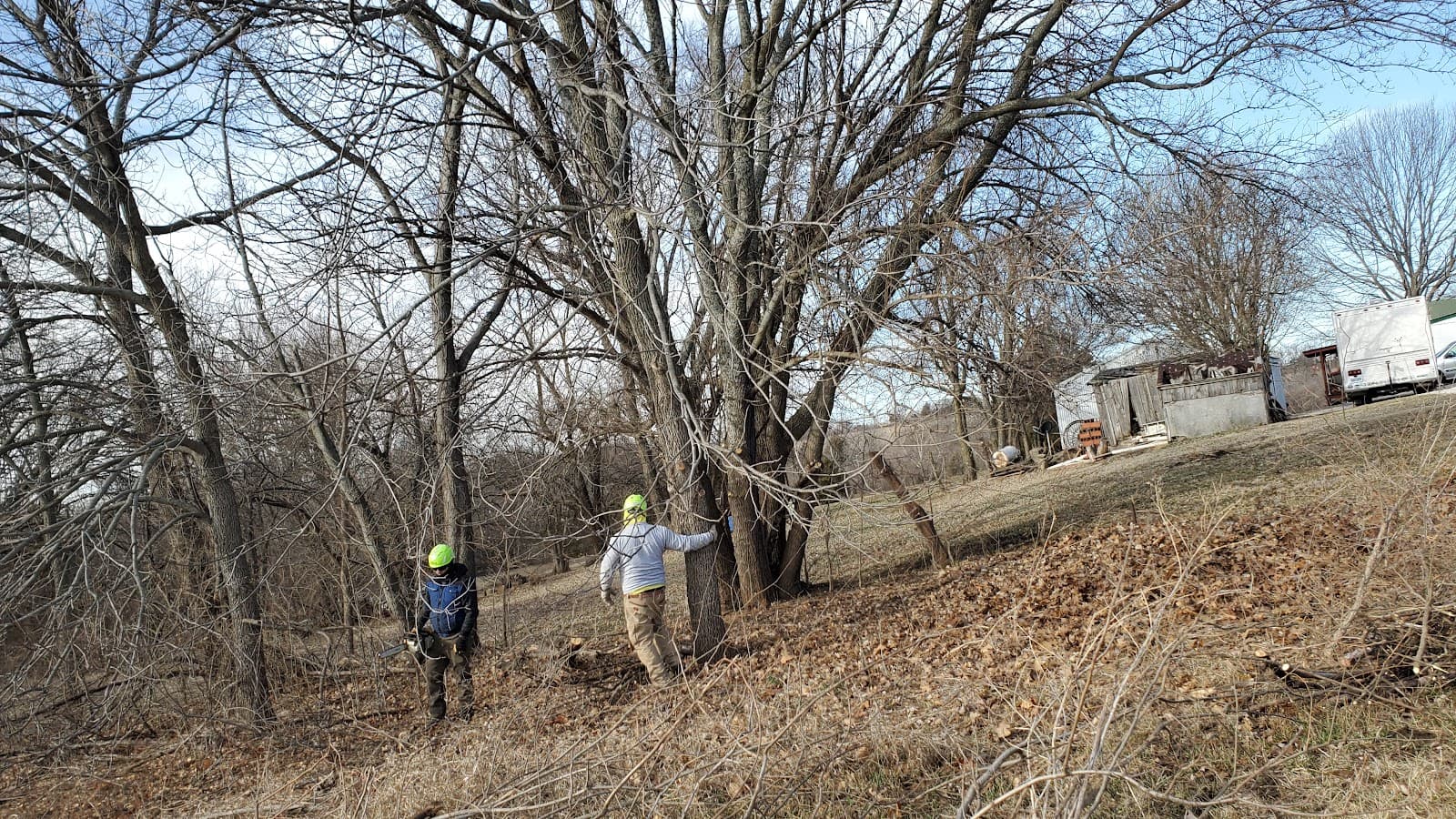 Isaias Tree & Lawn Service LLC