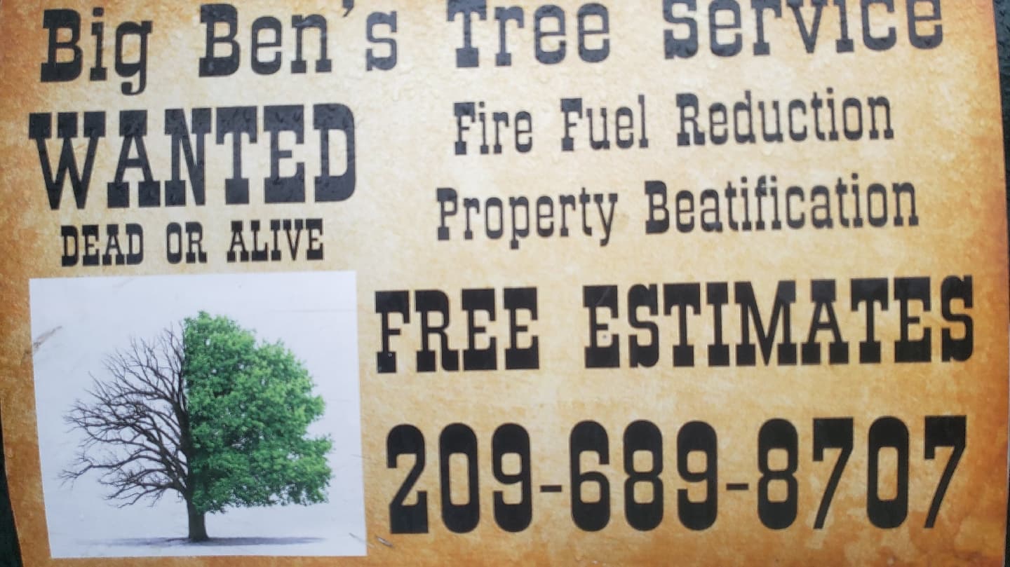 Big Bens Tree service