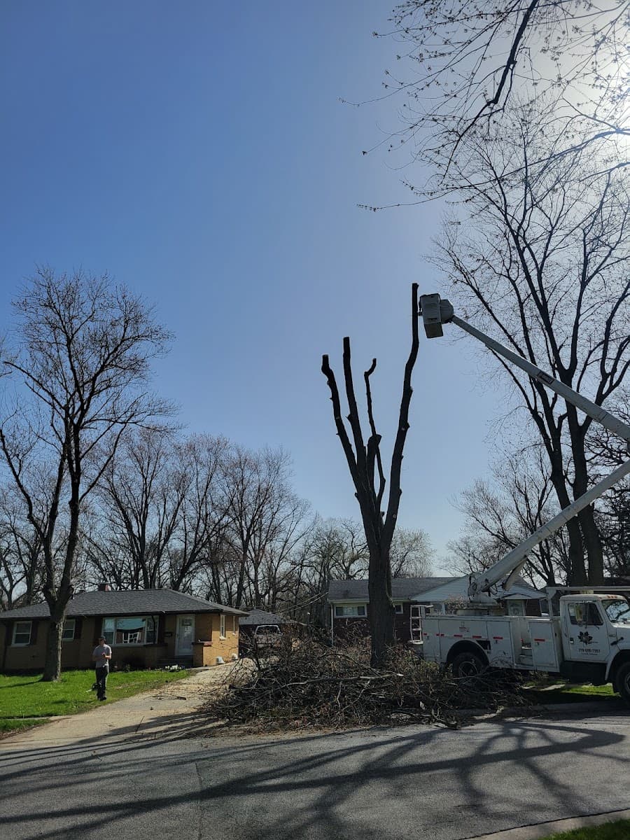 C & E Tree Services Inc