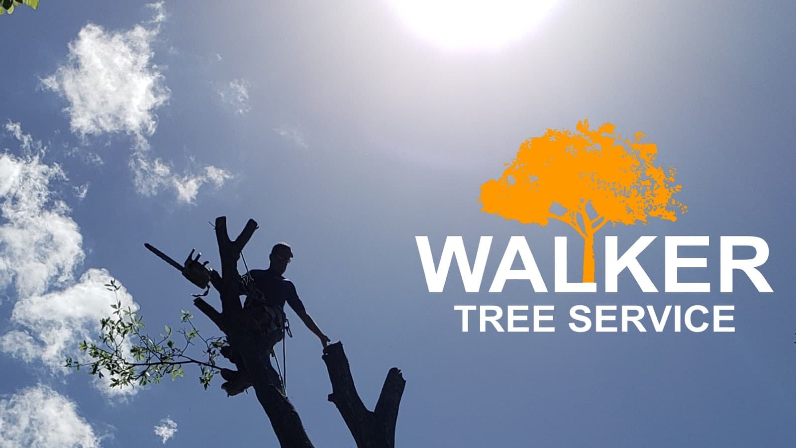 Walker Tree Service