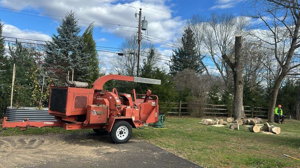 Santos Tree Services