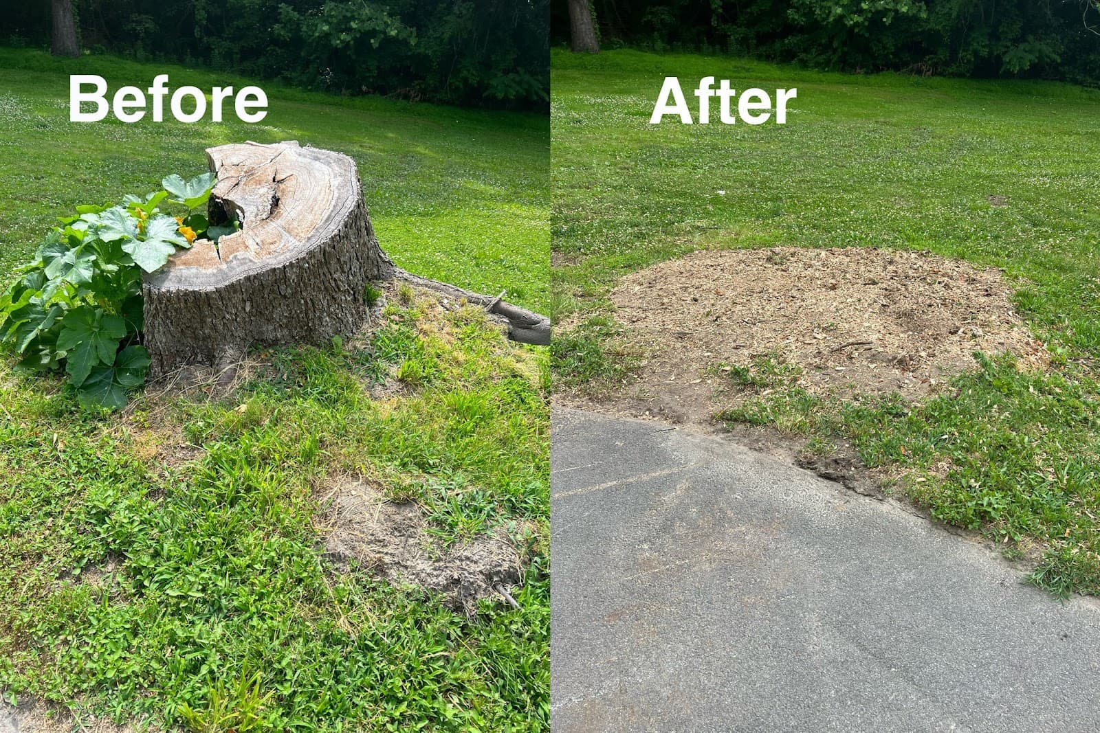 James River Stump Grinding Inc