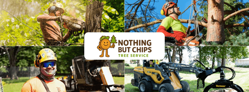 Nothing But Chips - Tree Removal + Land Clearing