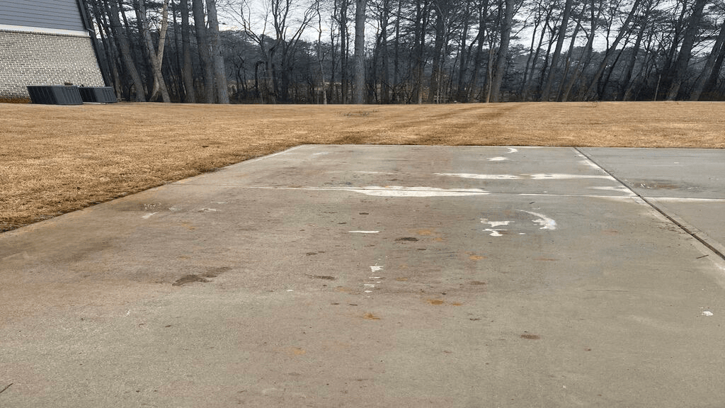 Blair and Company Tree Care