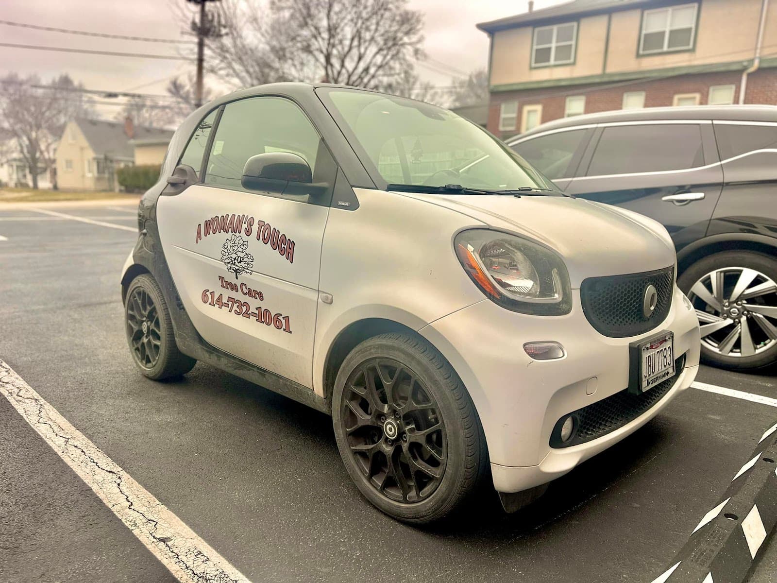 A Woman's Touch Tree Care LLC.