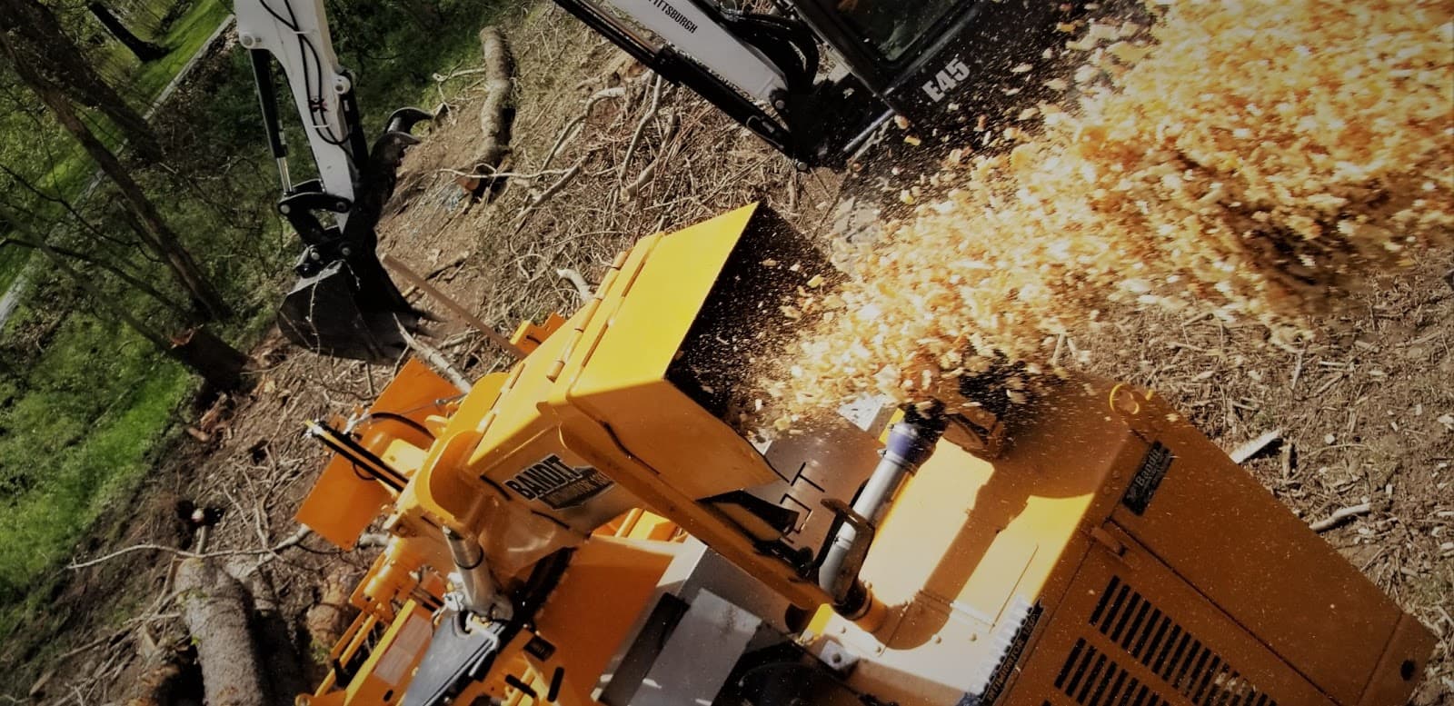 Primetime Tree and Landscape Services, LLC