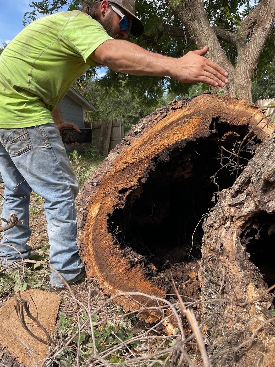 Treehugger Tree Service